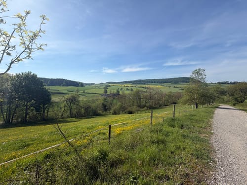 Premiumwanderweg: Ulfener Karst P20