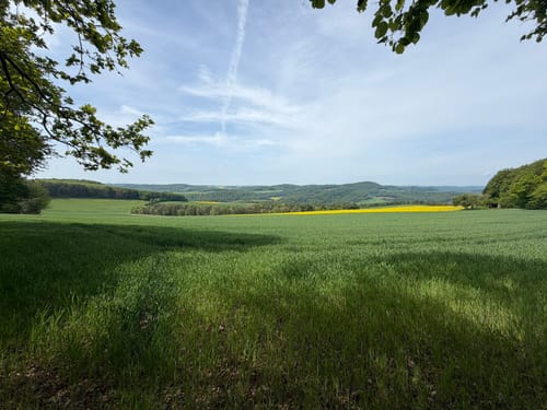 Premiumwanderweg: Ulfener Karst P20