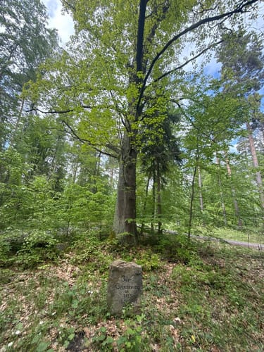 Von der Weißenburg rund um den Teufelsberg