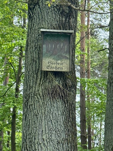 Von der Weißenburg rund um den Teufelsberg