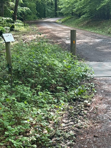 Von der Weißenburg rund um den Teufelsberg