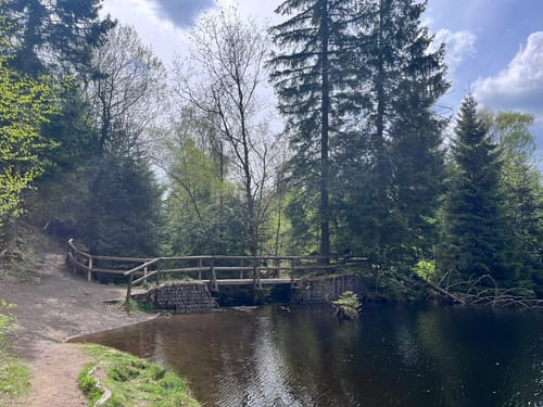 Naturmythenpfad Braunlage