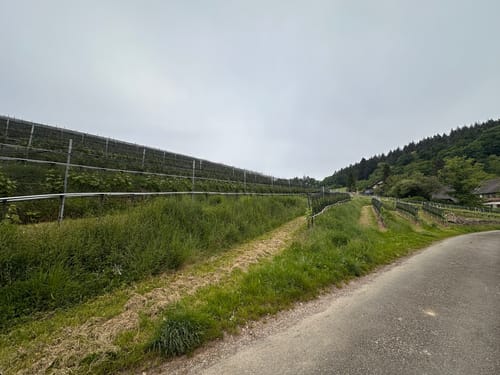 Zum Kaiserstuhlblick ab Muggardt