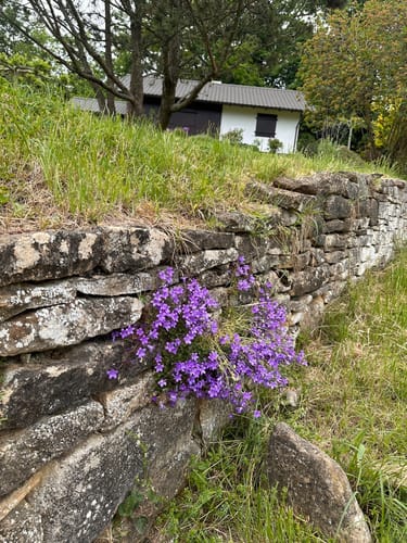 Zum Kaiserstuhlblick ab Muggardt