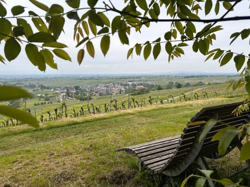 Zum Kaiserstuhlblick ab Muggardt