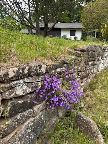 Zum Kaiserstuhlblick ab Muggardt