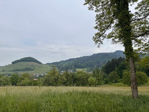 Zum Kaiserstuhlblick ab Muggardt