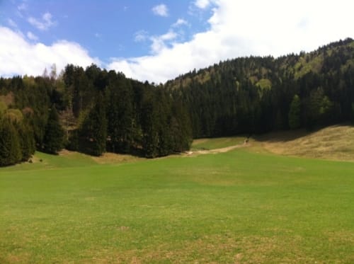 Schwarzentenn Alm
