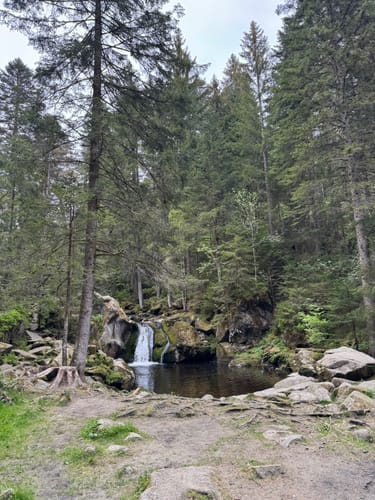 Sieben-Moore-Weg im Hotzenwald