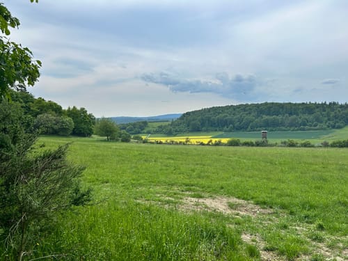 Mauloff nach Tenne durch die Riedelbacher Heide