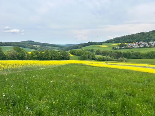 Mauloff nach Tenne durch die Riedelbacher Heide