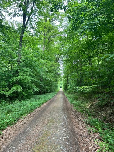 Mauloff nach Tenne durch die Riedelbacher Heide