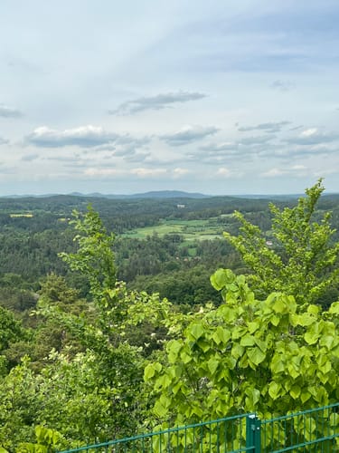 Zauberwald-Orchideen-Weg