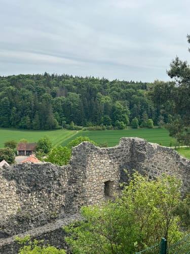 Zauberwald-Orchideen-Weg