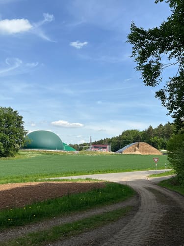 Zauberwald-Orchideen-Weg