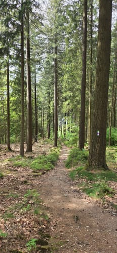 Ölmühlentour (Traumschleife)