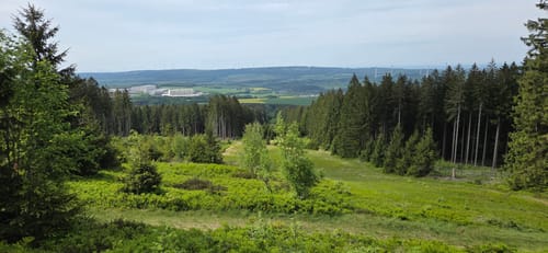 Ölmühlentour (Traumschleife)