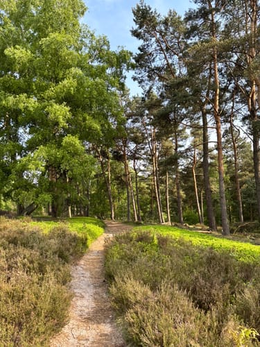 Fischbeker Heide: Fischbektal und Aussichtspunkte