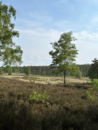 Fischbeker Heide: Fischbektal und Aussichtspunkte