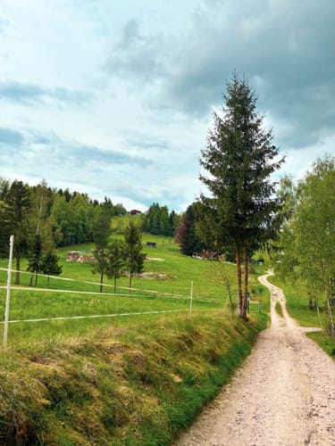 Hammerber Rrunde