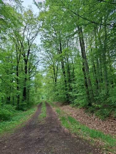 Steinbach zum Markkleeberg