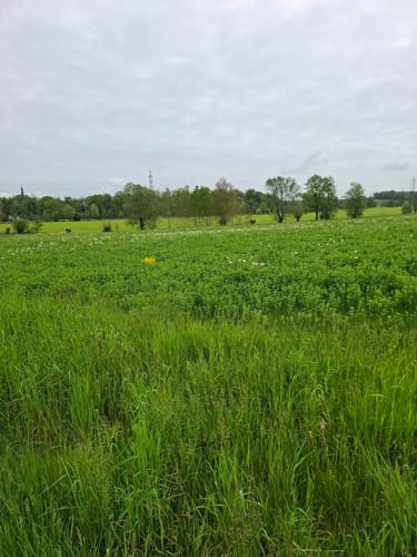 Steinbach zum Markkleeberg