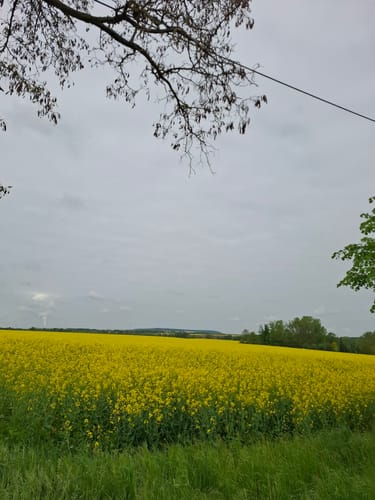 Steinbach zum Markkleeberg