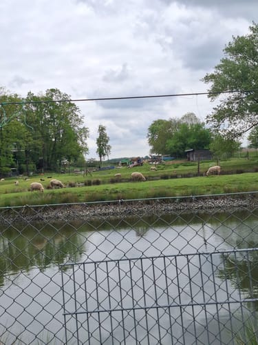 Steinbach zum Markkleeberg