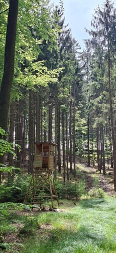 Echterspfahl - Zeugplatte - Heimbuchenthal - Schloss Mespelbrunn