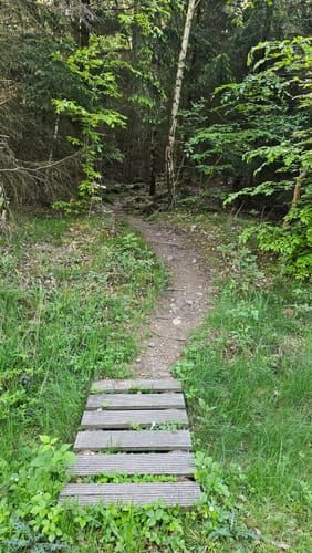 Schanzerkopf-Tour (Traumschleife)