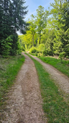 Schanzerkopf-Tour (Traumschleife)
