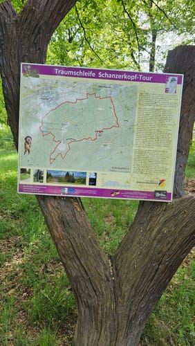 Schanzerkopf-Tour (Traumschleife)