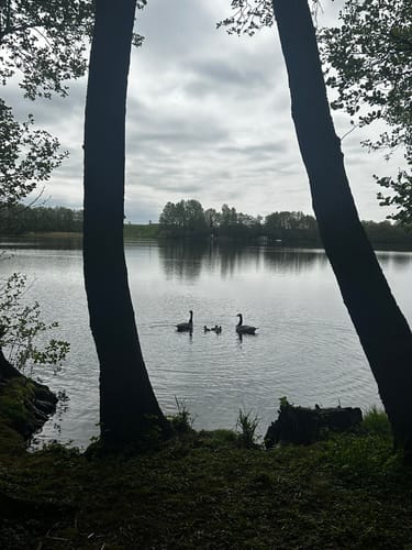 Sankelmarker See