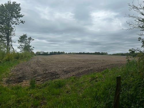 Sankelmarker See