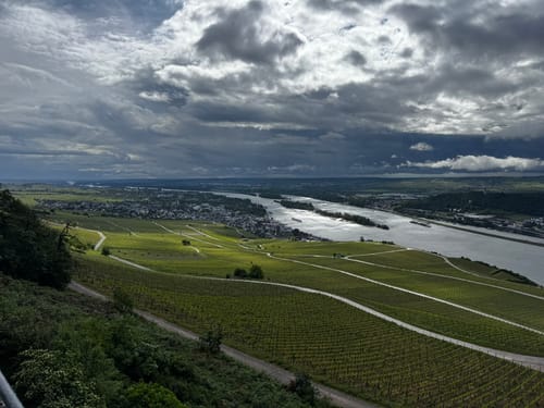 Rheinsteig Etappe 17: Lorch - Rüdesheim