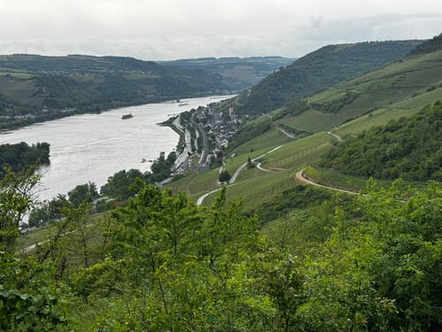 Rheinsteig Etappe 17: Lorch - Rüdesheim