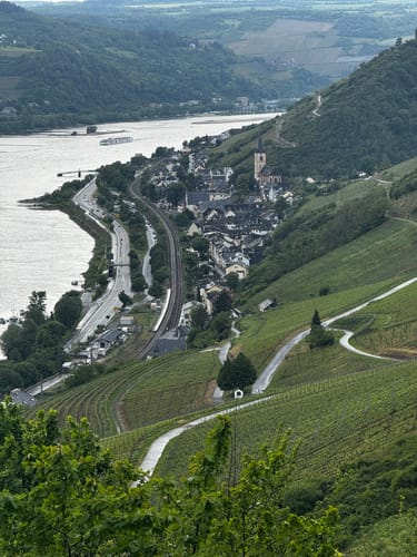 Rheinsteig Etappe 17: Lorch - Rüdesheim