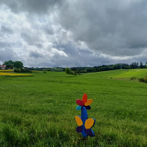 Rund um Rotenbach