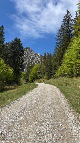 Herzogstand über Reitweg