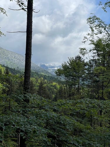 Durchs Jachental ab Jachenau