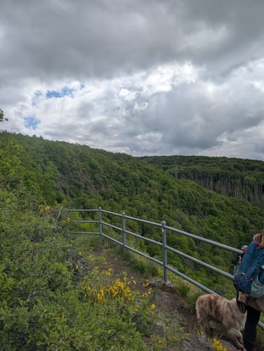 Nohener Naheschleife (Premiumwanderweg)
