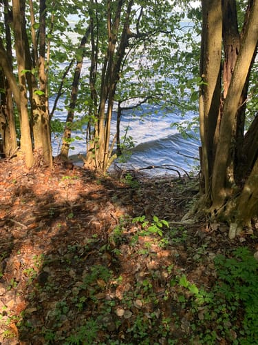 Plauer See und Pätschseen Runde