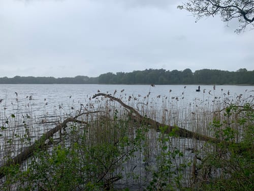 Plauer See und Pätschseen Runde