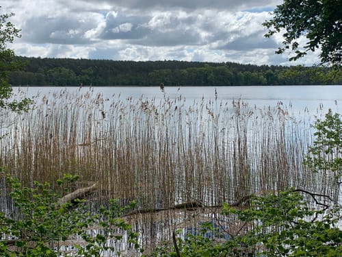 Plauer See und Pätschseen Runde