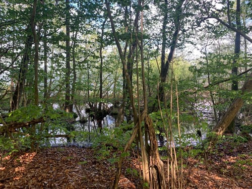Plauer See und Pätschseen Runde