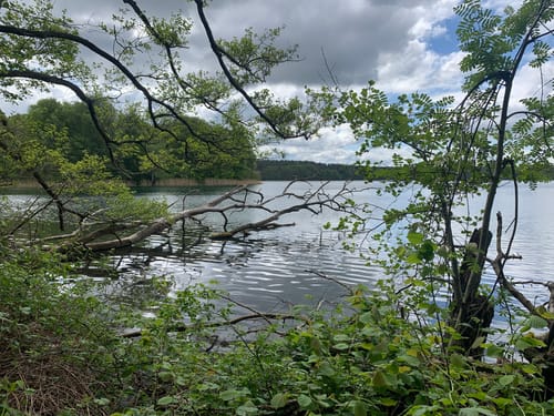Plauer See und Pätschseen Runde
