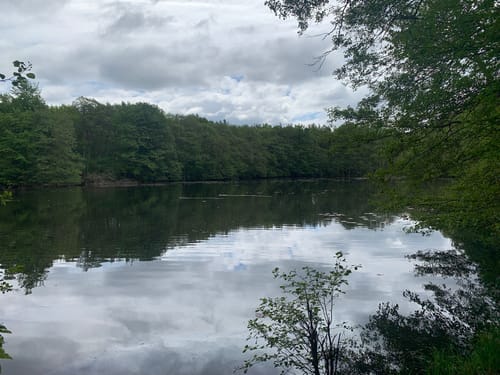 Plauer See und Pätschseen Runde