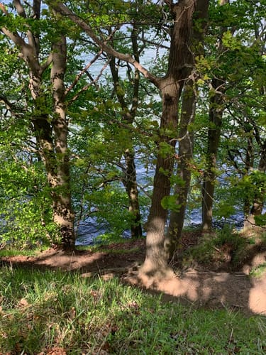 Plauer See und Pätschseen Runde