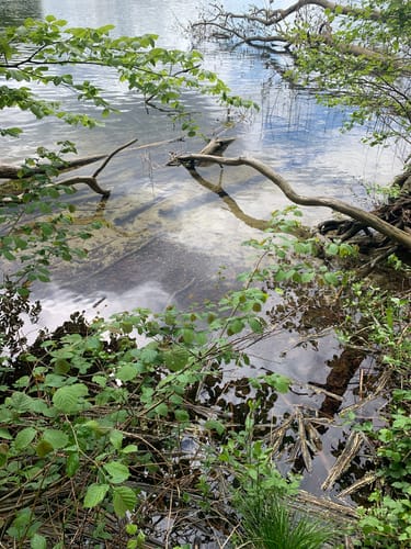 Plauer See und Pätschseen Runde