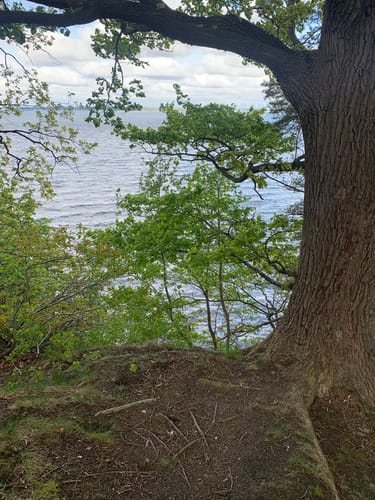 Plauer See und Pätschseen Runde